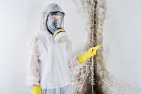 Best Asbestos and Lead Testing During Mold Inspection  in Edgemoor, DE